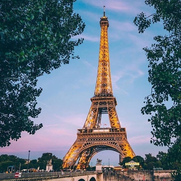 Meet your Posher, Sofia - Picture 1 of 1